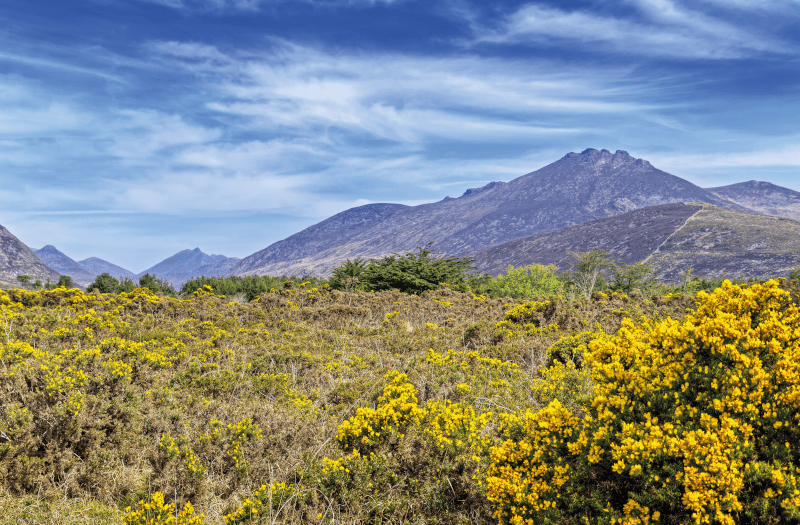 holidays to County Down