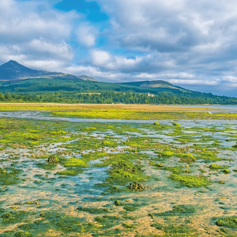 holidays to Scottish Lowlands and Border Country